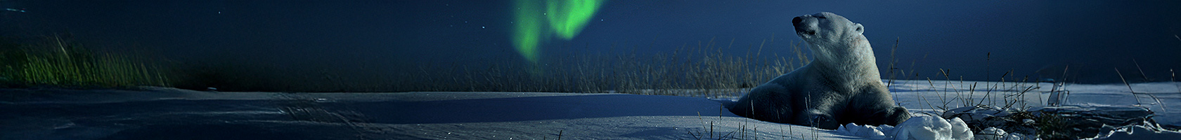 Средства защиты от животных